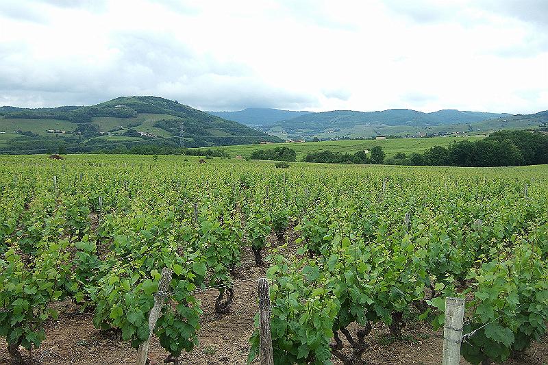 2010-06- (101).JPG